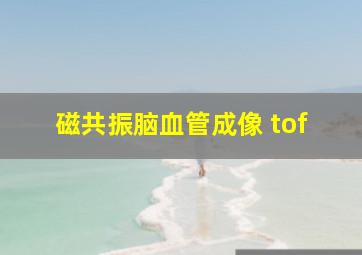 磁共振脑血管成像 tof